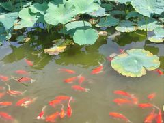 -西海子公园