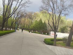 -森林公园(尖草坪区)