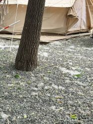 -268童话露营农场·烧烤·团建