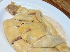 招牌凤厨鸡-凤厨顺德水乡凤味馆(大良锦龙路店)