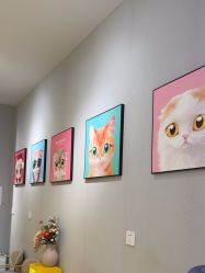 -洗脸猫·洗脸吧