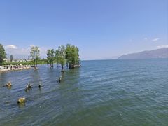 -大理洱海