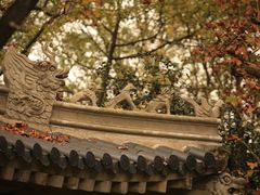 -灵谷景区