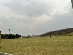 -羊山湖公园