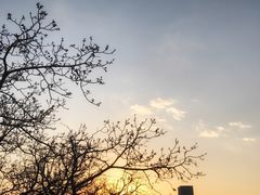 露台上看到的落日-EATALIA意塔利意式餐厅(鼓楼店)