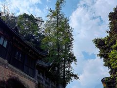 -青城山