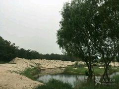 -翡翠岛
