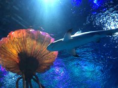 -沈阳海洋探索中心