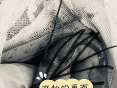 -邢大夫动物医院