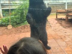 -昆明动物园