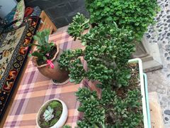-尼玛藏家风味园(阿山食城店)