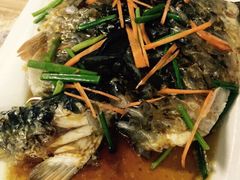 悠悠美食-悠悠美食