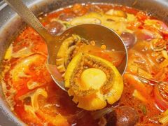 -禄婶鸡煲·打边炉