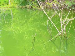 -水濂山森林公园