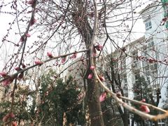 -北京工商大学(阜成路校区)
