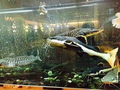 -衡山汇·高级粤菜(霄云路店)