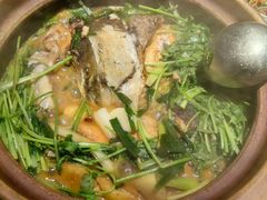 -九道菜有鸡鱼头(石鼓路店)