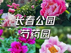 -长春公园(普阳街道)