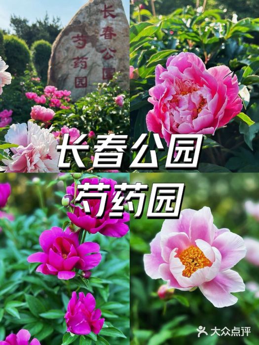 长春公园(普阳街道)图片