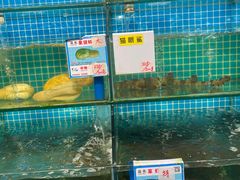 水产区-琼大师东方烤乳猪(亚特兰蒂斯店)