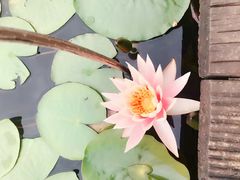 -鄱阳湖国家湿地公园
