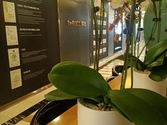 -上海月星家居(澳门路店)
