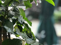 -Be Lived Cafe比例咖啡(摩天轮店)