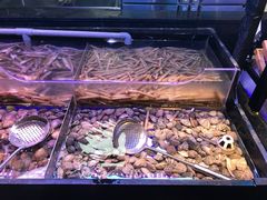 水产区-盛江山自助料理(奥莱锦辉购物广场店)