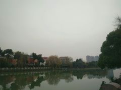 -杭州城北体育公园