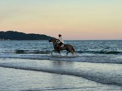 -三亚海棠湾万丽度假酒店