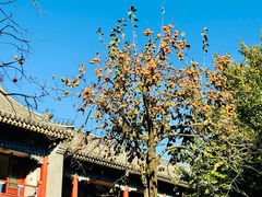 -北京石刻艺术博物馆(五塔寺)