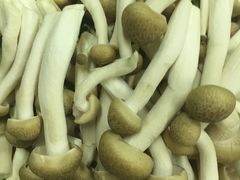 -致和老涮庄山西刀削面(万寿路4号院店)