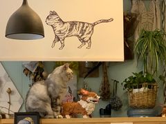 -平行世界·猫咖(首经贸店)