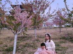 -古柏渡飞黄旅游区