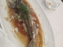 -金华安大酒楼·老牌潮菜·粤式茶点(东方国际店)
