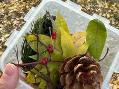 -国家植物园南园