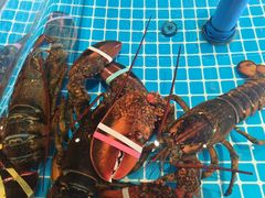 -百富源·海鲜辽菜(张士店)