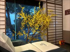 -上足·影院足道·SPA(红岭店)