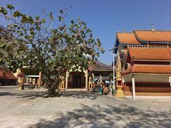 -西双版纳勐泐文化旅游区