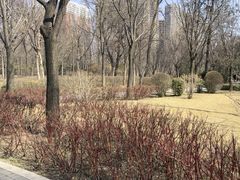 -迎泽公园