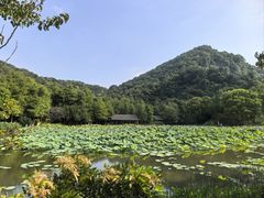 -八卦田遗址公园