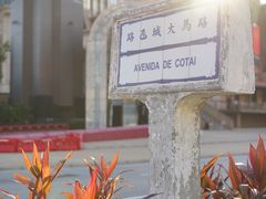 -影汇之星8字形摩天轮