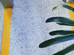 -美联英语(绿宝中心)