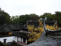 -宁波市保国寺古建筑博物馆
