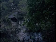 -Local泰莲庭(虹鳟鱼店)