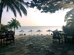 -日落吧·海景咖啡厅·餐酒吧·鸡尾酒·下午茶·乐队表演·浪漫夕阳·三亚文华东方酒店