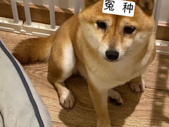 -宠颐生宠物医院(·宠保定点·鹰潭分院)