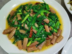 -小海丁
