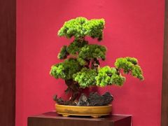 -山公馆餐厅(东塘店)