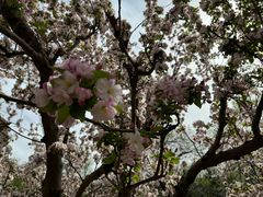 -元大都城垣遗址公园